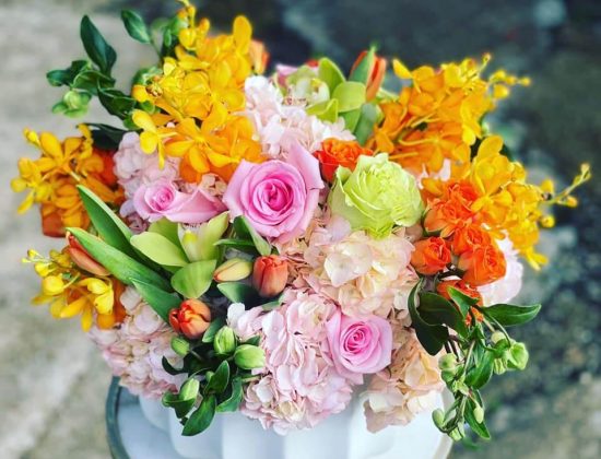 Plants N’ Petals Design Studio