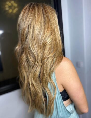 Hair Society INC.