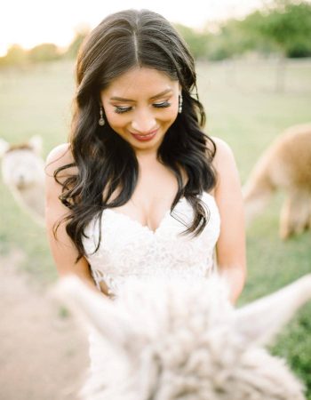 Jared Daum Photography