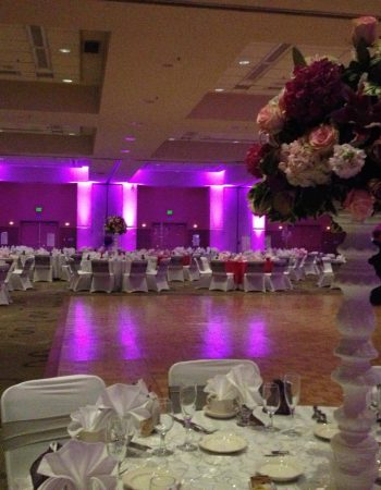Audio Ecstasy | Event Sound & Lighting