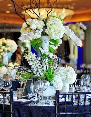 Plants N’ Petals Design Studio