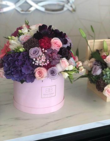 Bloom and Box