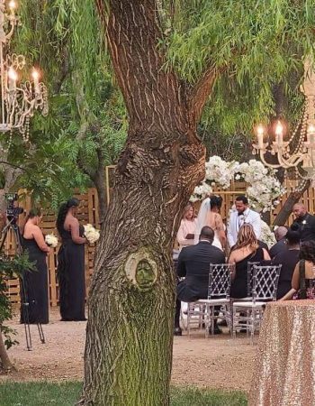 NC Event Designs