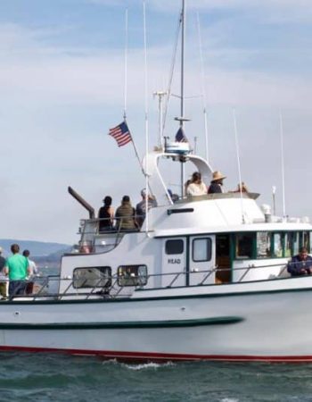 Captain San Francisco Sailing Charters