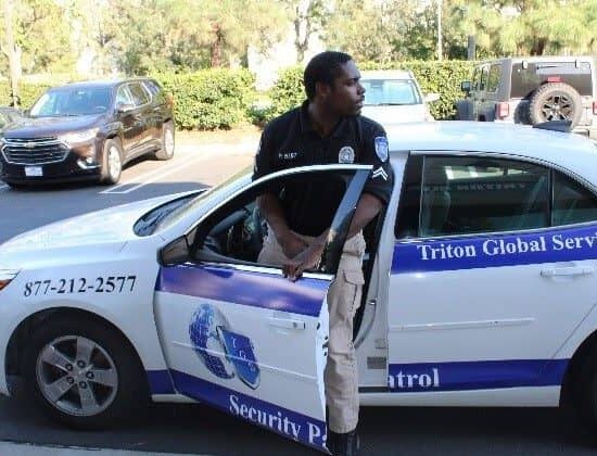 Triton Global Services