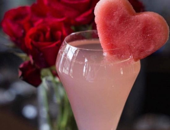 The Fancy Cocktail Professional Bartenders