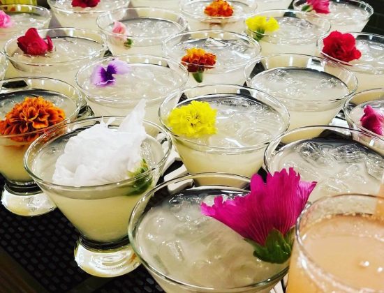 Emerald City Cocktails